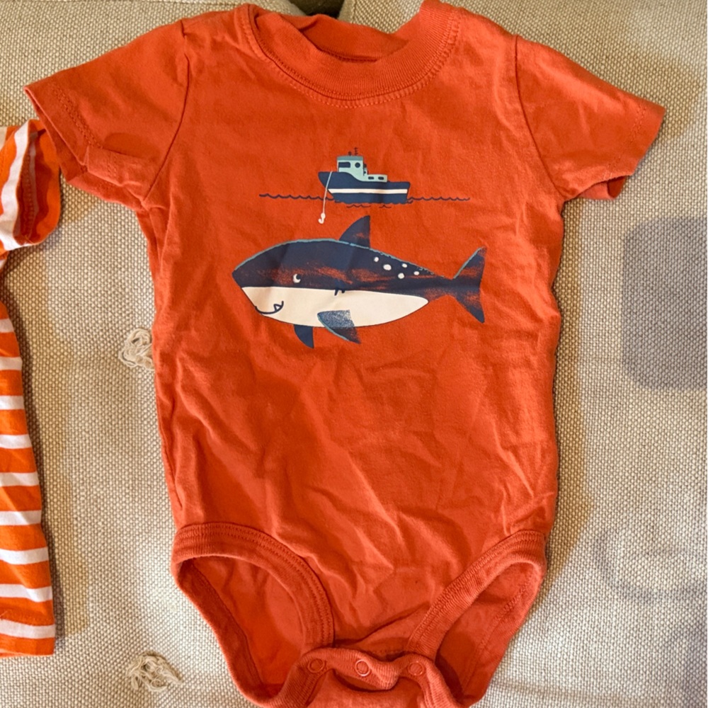 Carters Bundle 6-9M - Picture 5 of 9
